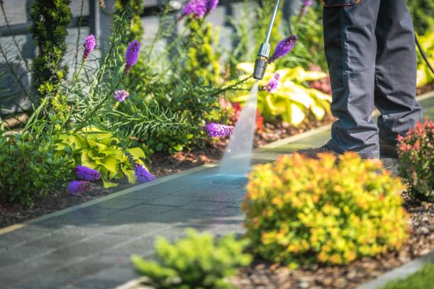 Best Sidewalk and Walkway Cleaning  in Coarsegold, CA