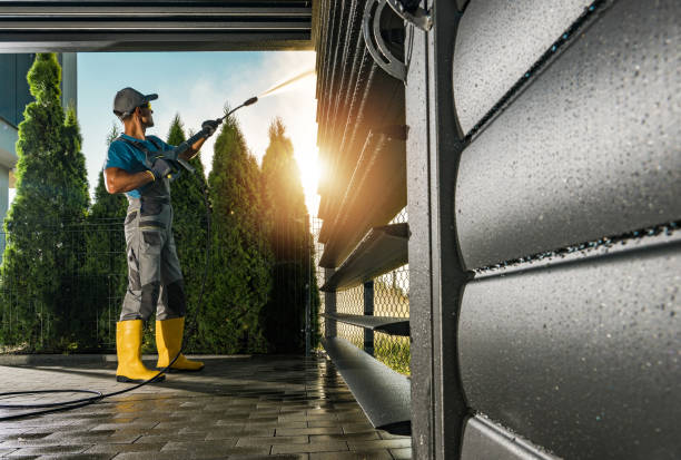 Best Roof Washing  in Coarsegold, CA